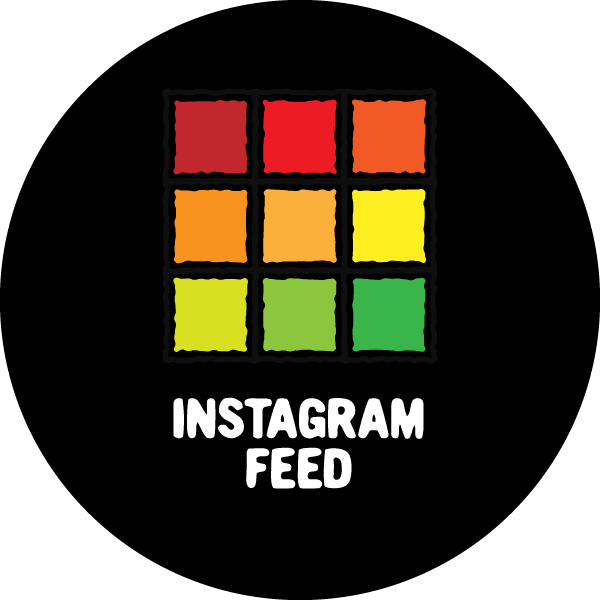 Instagram Feed App Setup - House of Cart